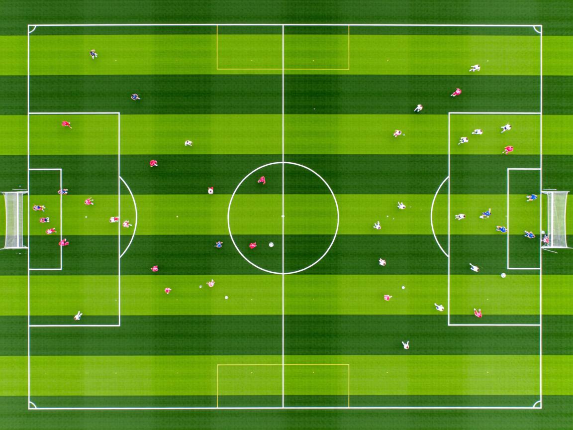 开yun官网-体育新闻中心联合头部平台开展体育话题共创计划，体育新闻分享  第3张