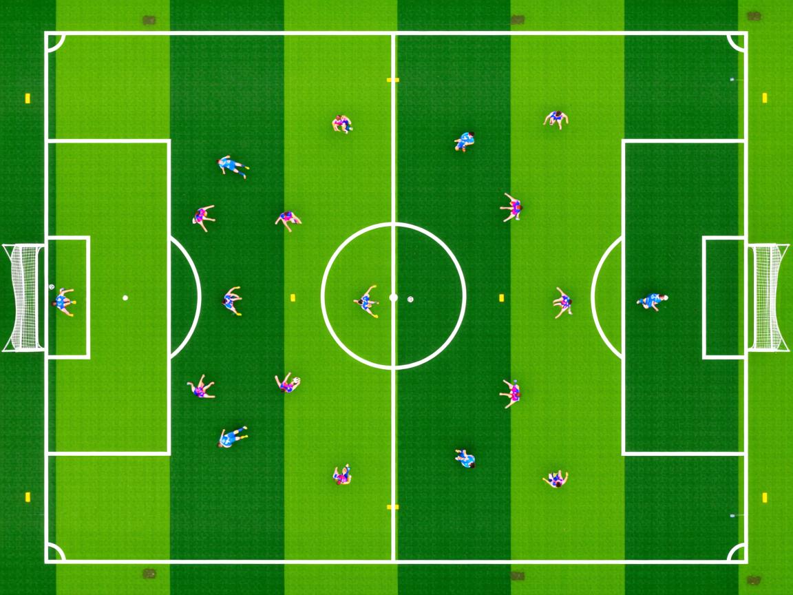 开云体育官网在线-德国蛙泳技术细腻 成绩稳步提升，德国游泳名将  第2张